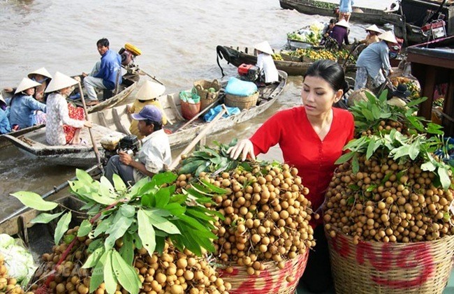Bài 12: Giới thiệu nguyên liệu làm các món ăn Việt Nam (Tiết 1) - ảnh 1